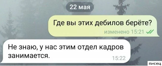 Работа не волк: 20 смешных фото с рабочего места