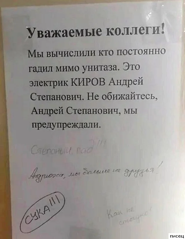 Работа не волк: 20 смешных фото с рабочего места