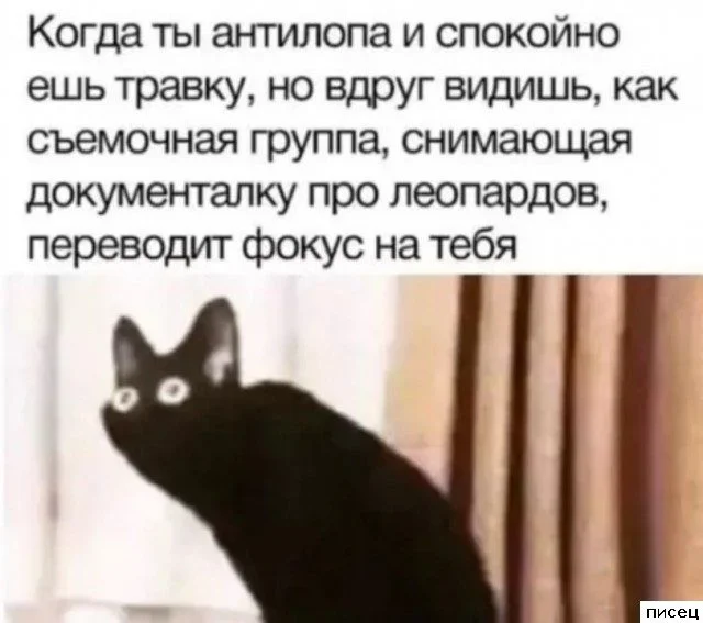 Смешные приколы Писца на тему «Когда»