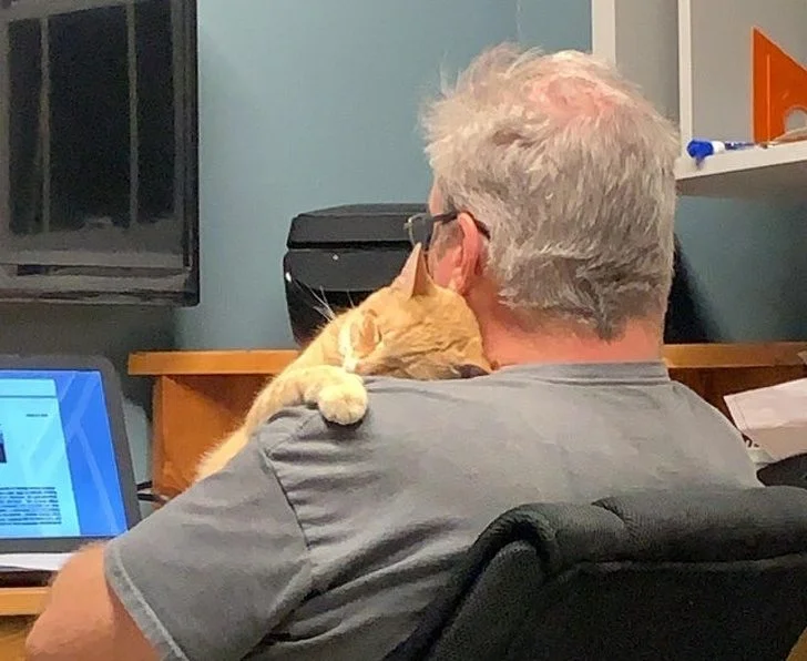 Нежные и заботливые: кошки, которые ломают стереотипы