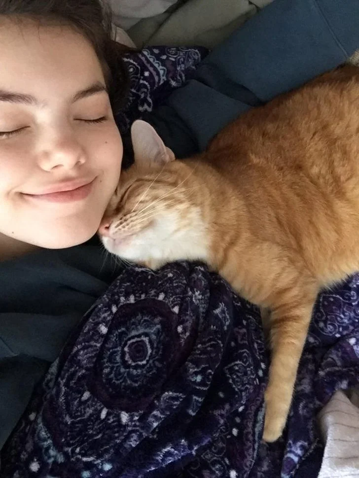 Нежные и заботливые: кошки, которые ломают стереотипы