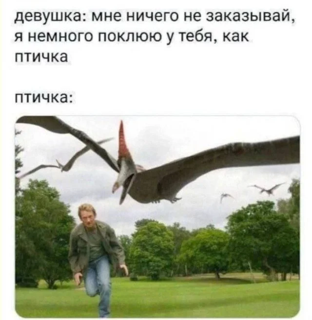 Юмор в чистом виде: подборка забавных картинок