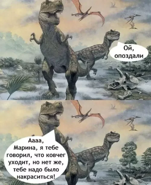 Забавные мемы и картинки для хорошего настроения