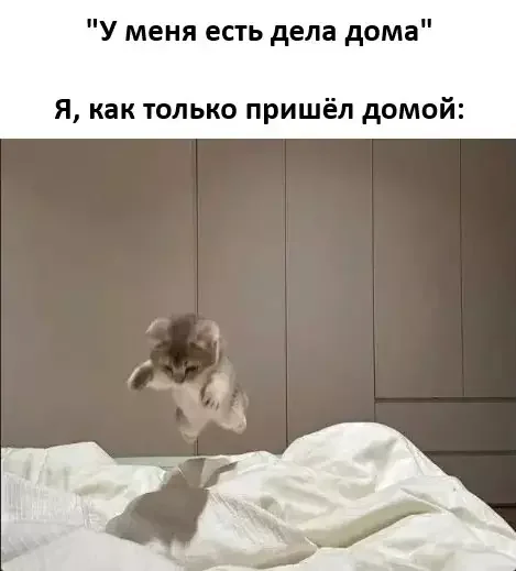 Забавные мемы и картинки для хорошего настроения