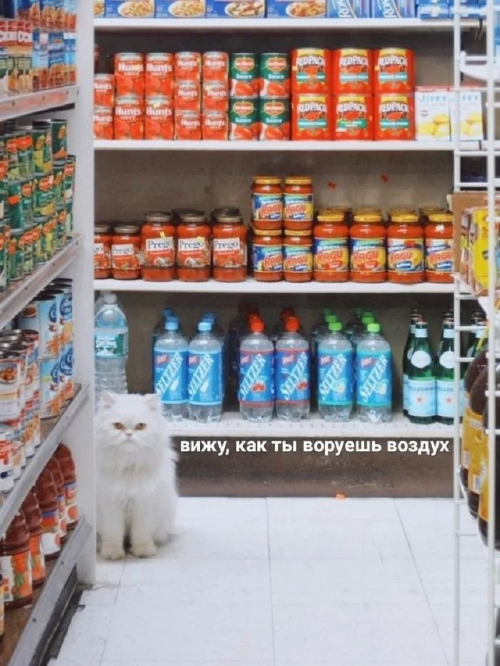 Отборные приколы в мемах и картинках для вашего хорошего настроения