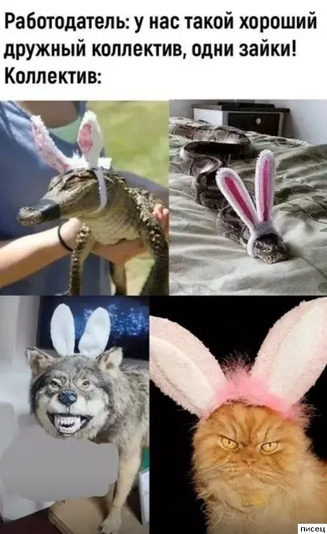 Работа не волк: 20 смешных фото с рабочего места