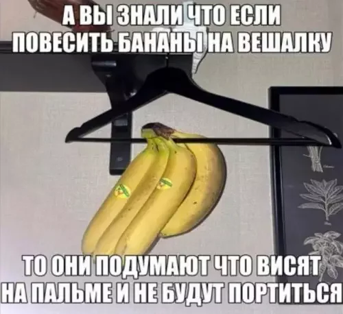 Забавные мемы и картинки для хорошего настроения