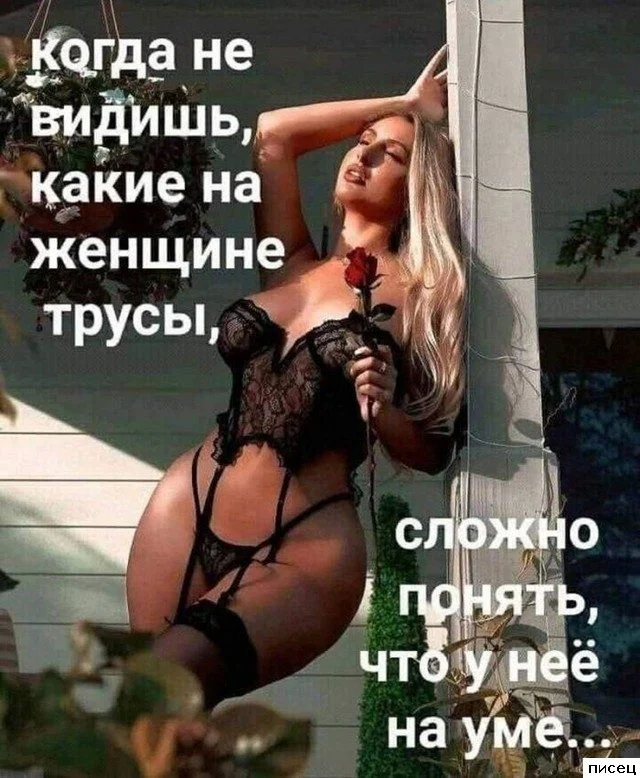 Смешные приколы Писца на тему «Когда»