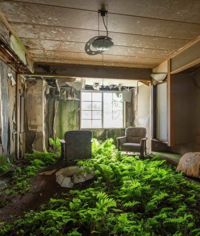 Вечерняя подборка забавных картинок