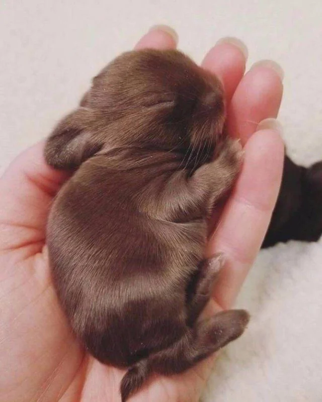 Вечерняя подборка забавных картинок