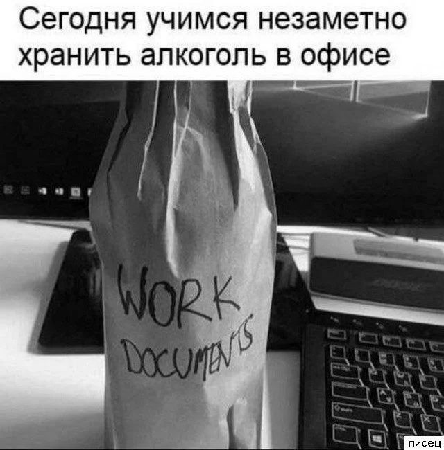 Работа не волк: 20 смешных фото с рабочего места