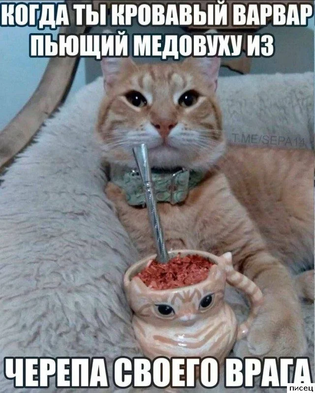 Смешные приколы Писца на тему «Когда»