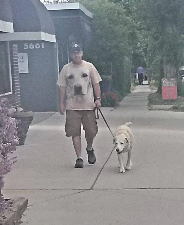 Заряд позитива на среду: картинки для солнечного настроения