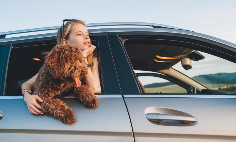 10 лучших дорожных игр, которые спасут от скуки в путешествии с детьми