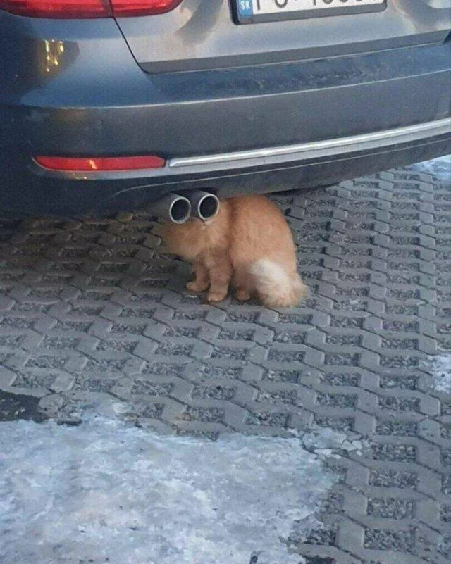 Заряд позитива на среду: картинки для солнечного настроения