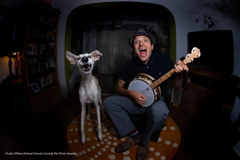 25 самых смешных фото животных, которые культурно отдыхают