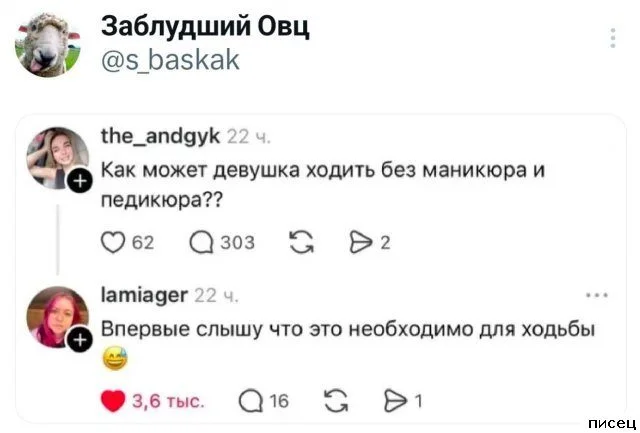 Смех сквозь экран: самые забавные комментарии из соцсетей