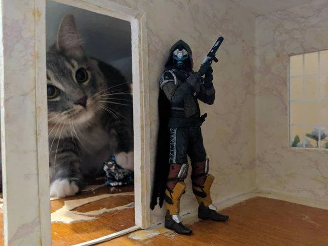 Заряд позитива на среду: картинки для солнечного настроения