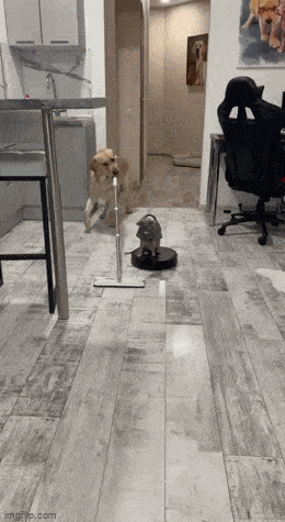 Улыбка гарантирована: вторая порция гифок, которые поднимут настроение с первого кадра