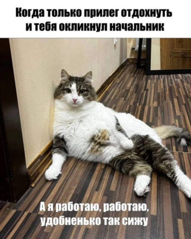 Хаос и радость: почему беспорядок иногда делает нас счастливее