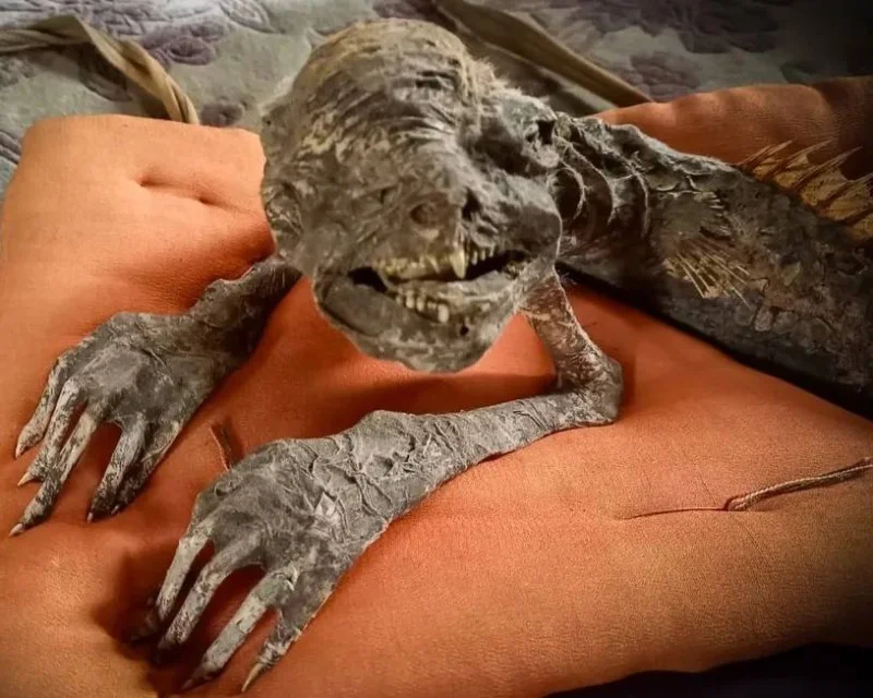 Мумия водяного демона: японский каппа найден и продан