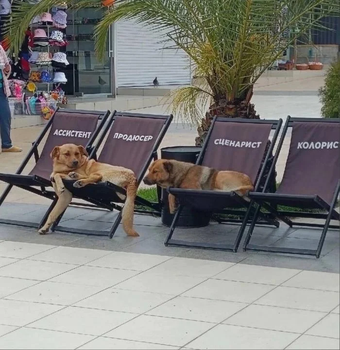 Заряд позитива на среду: картинки для солнечного настроения
