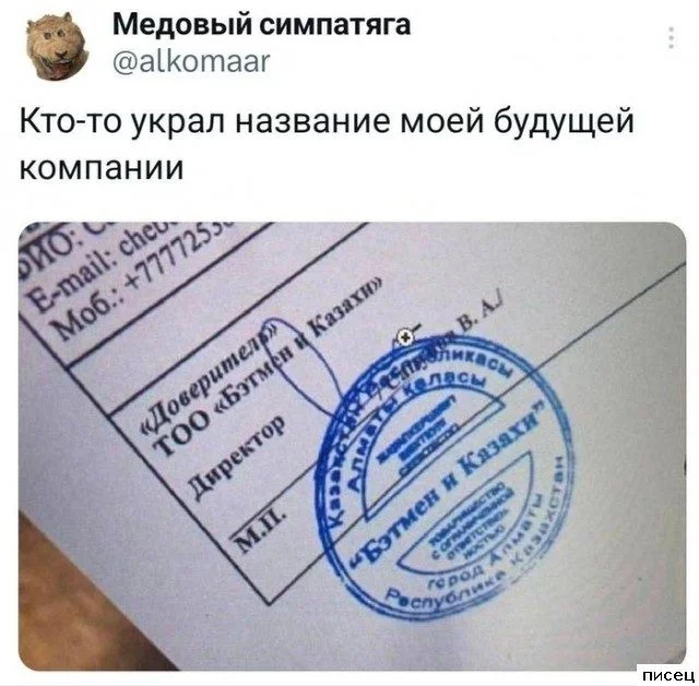 Комментарии из соцсетей, от которых невозможно не улыбнуться