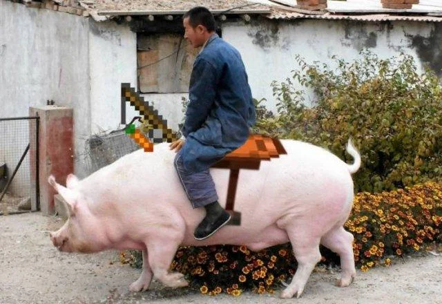 Заряд позитива на среду: картинки для солнечного настроения