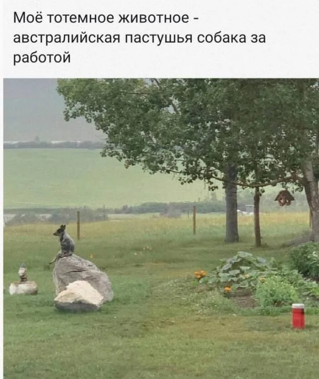 Заряд позитива на среду: картинки для солнечного настроения