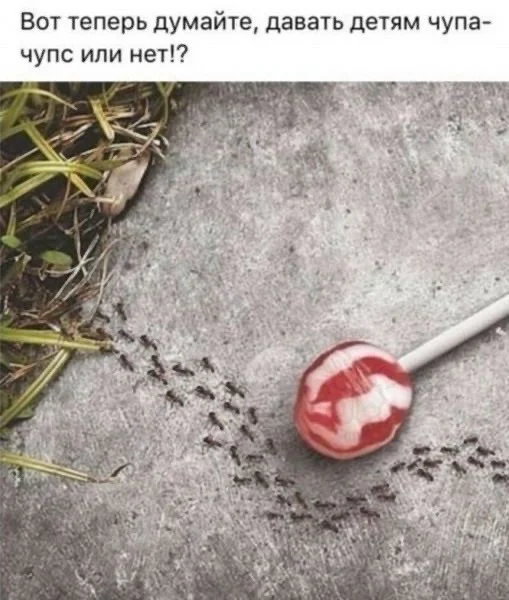 Маленькая пятница: зарядка позитивом в виде свежих мемов