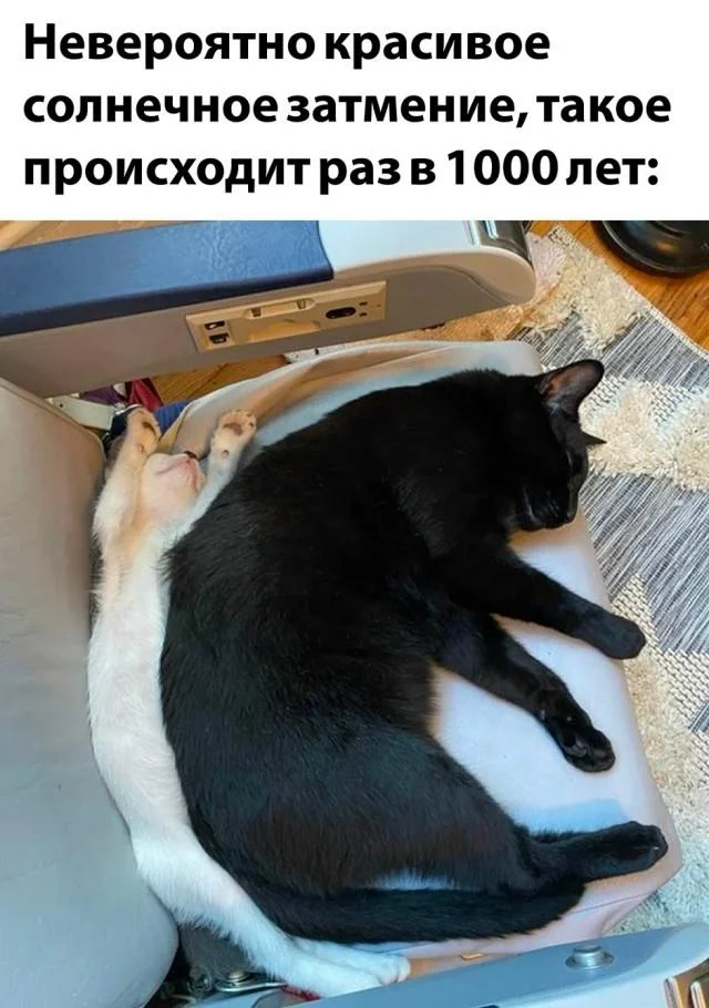 Заряд позитива на среду: картинки для солнечного настроения