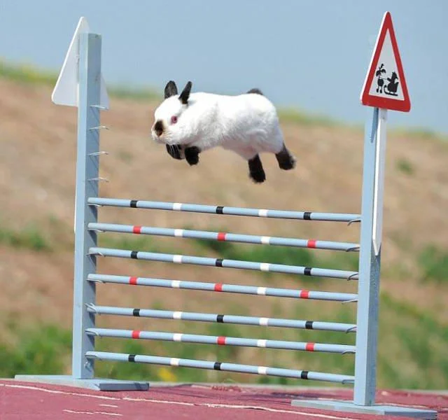 Заряд позитива на среду: картинки для солнечного настроения