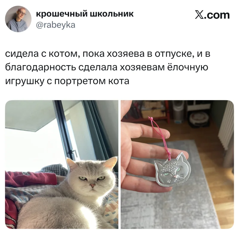 Лучшие шутки дня из X (бывшего Твиттера)