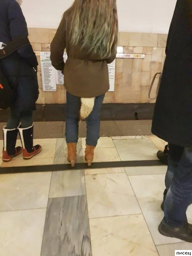 На что способна воспалённая фантазия: подборка невероятных приколов