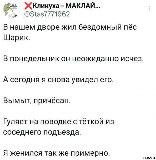 Комментарии из соцсетей, от которых невозможно не улыбнуться