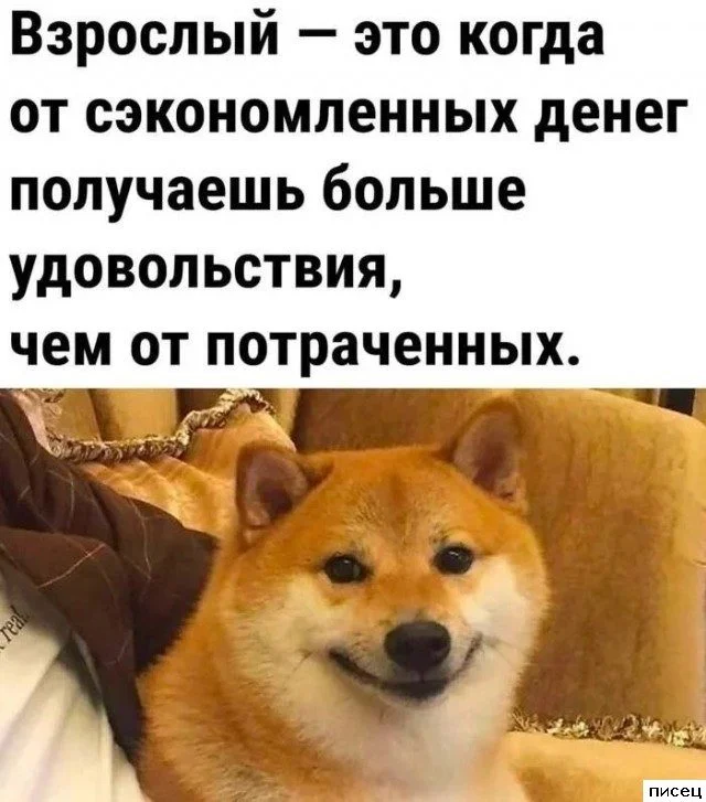 Свежая порция интернет-юмора: приколы на любой вкус