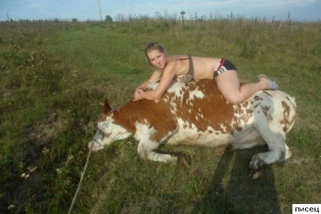 Деревенский юмор: приколы, от которых пахнет навозом и самогоном