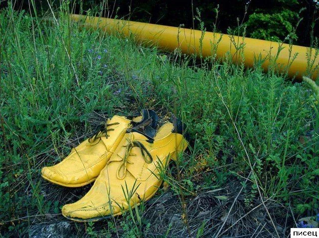 На что способна воспалённая фантазия: подборка невероятных приколов