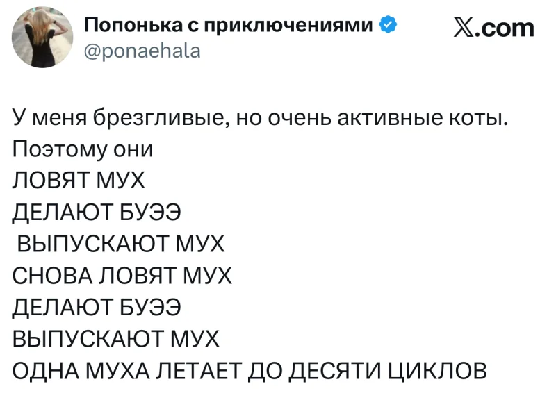 Лучшие шутки дня из X (бывшего Твиттера)