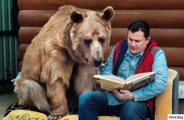 Смешные картинки про нашу жизнь: подборка приколов без цензуры