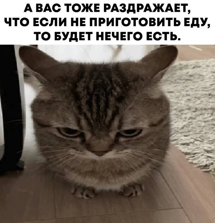 Маленькая пятница: зарядка позитивом в виде свежих мемов