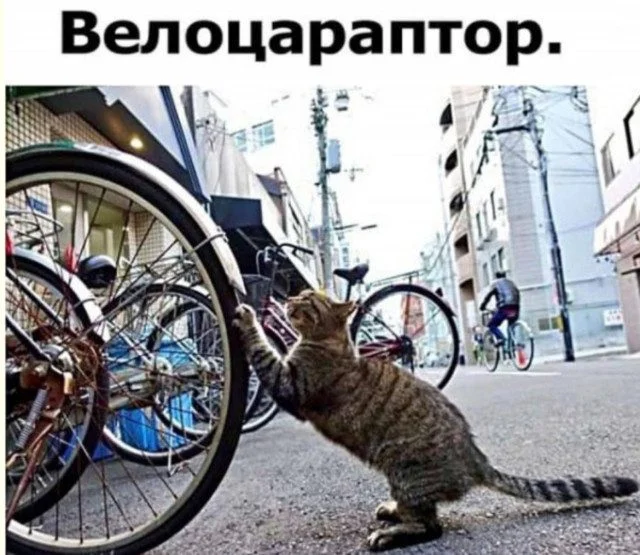 Хаос и радость: почему беспорядок иногда делает нас счастливее