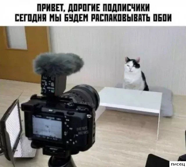 Свежая порция интернет-юмора: приколы на любой вкус