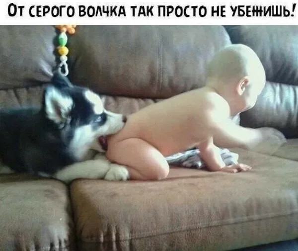 Заряд позитива на среду: картинки для солнечного настроения