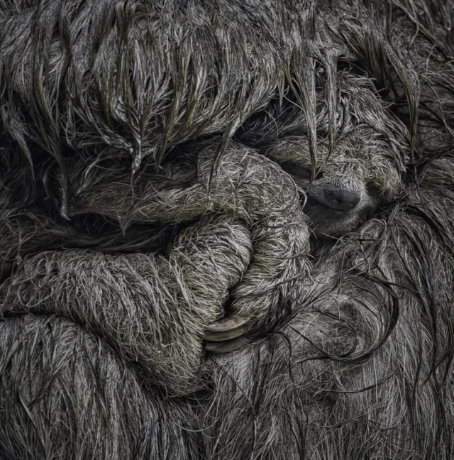 Удивительные и редкие животные мира: фото, которые заставят вас путешествовать