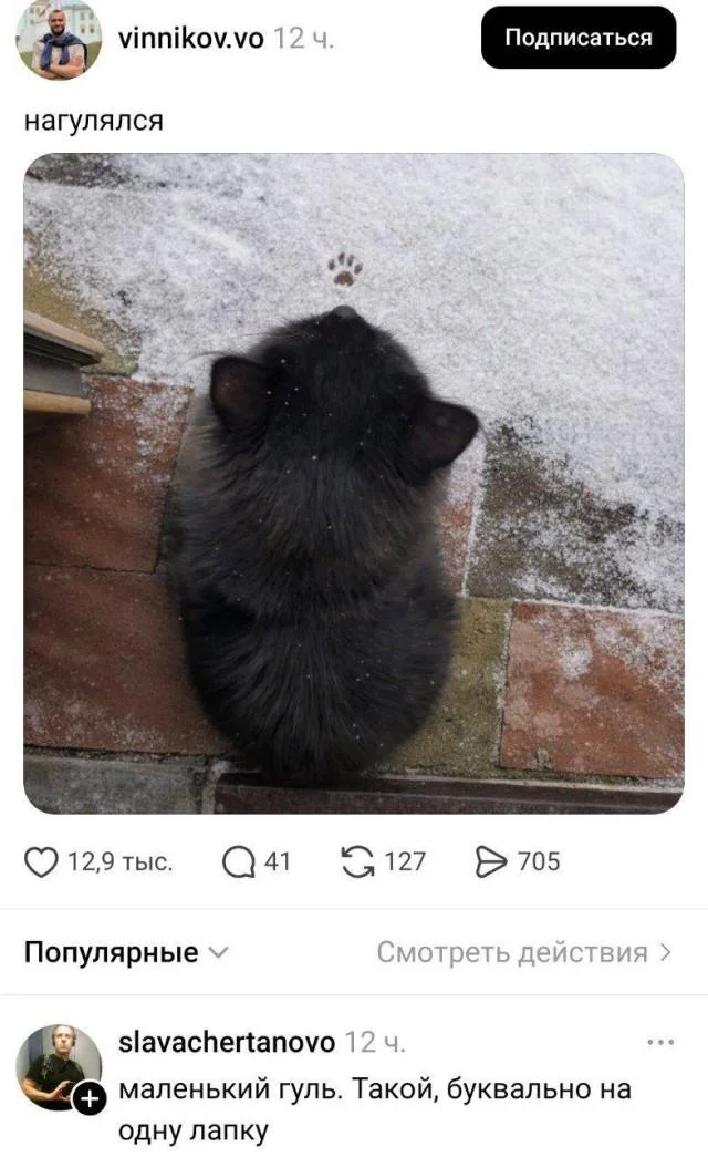 Заряд позитива на среду: картинки для солнечного настроения