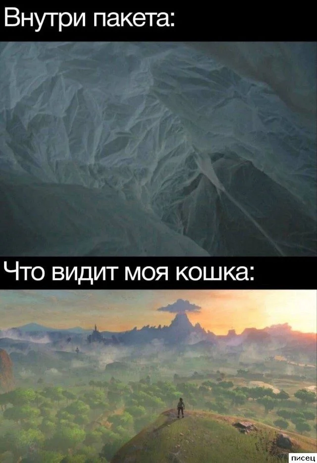 Свежая порция интернет-юмора: приколы на любой вкус