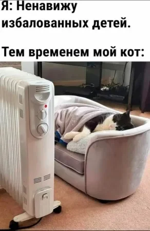 Заряд позитива на среду: картинки для солнечного настроения