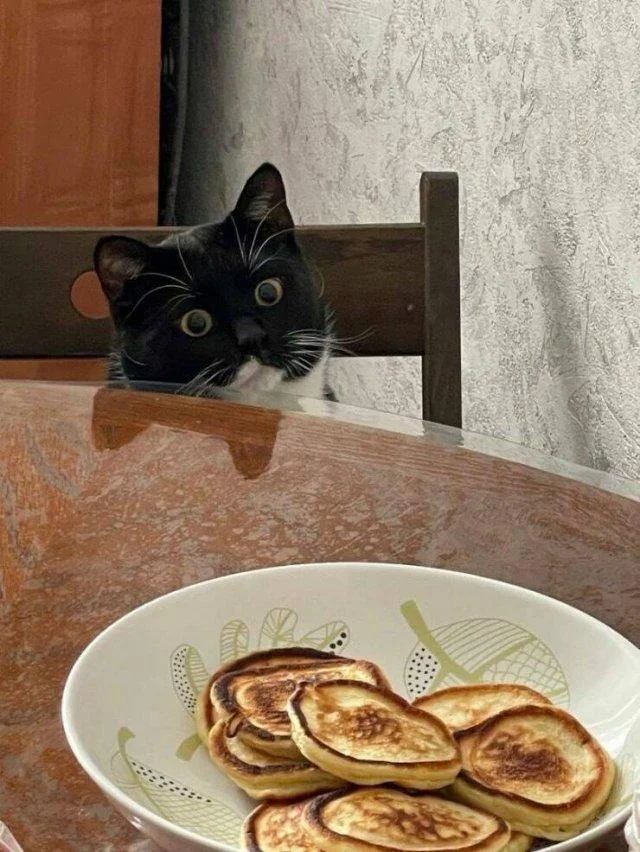 Заряд позитива на среду: картинки для солнечного настроения