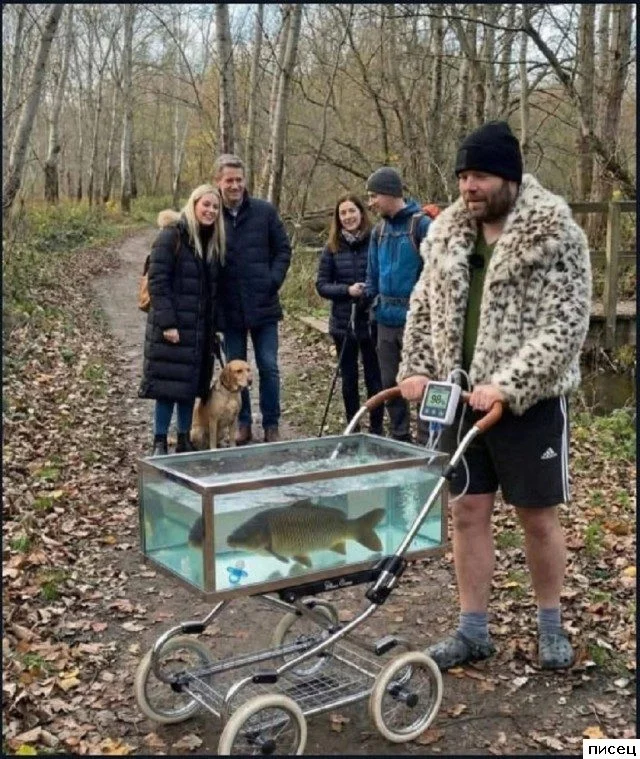 На что способна воспалённая фантазия: подборка невероятных приколов